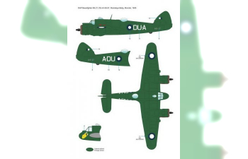 DAP Beaufighter Mk.21 Conversion Set