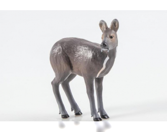 Дикие животные России № 19: Кабарга (только вложение)