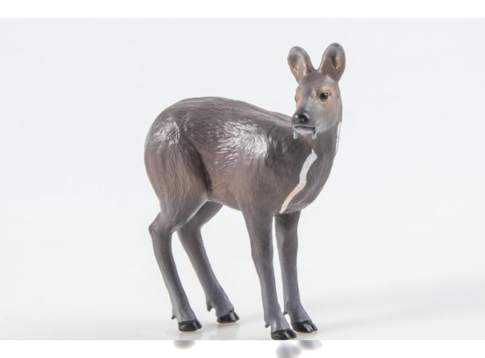 Дикие животные России № 19: Кабарга (только вложение)