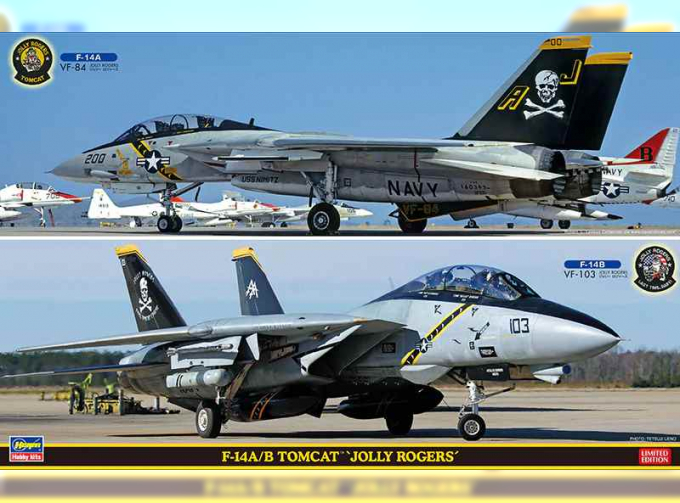 Сборная модель Cамолет F-14A/B TOMCAT JOLLY ROGERS (Two kits in the box)