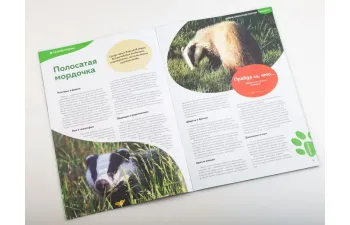 Дикие животные России № 22: Барсук