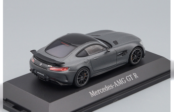 MERCEDES-BENZ AMG GT-R 2019 V8 Biturbo C190, grey metallic