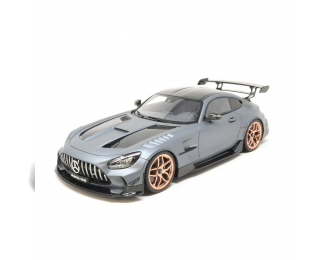 Mercedes-AMG GT Black Series (magno grey)