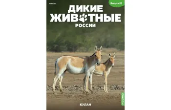 Дикие животные России № 25: Кулан