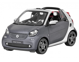 SMART ForTwo Cabriolet A453 (2016), titania grey mat. / cool silver