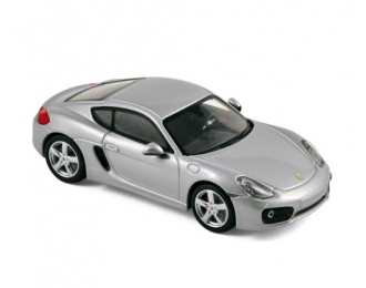 PORSCHE Cayman S 981C (2013), silver