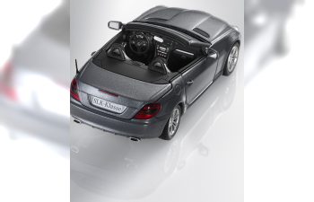 MERCEDES-BENZ SLK-Class Roadster R171 (2008), silver palladium