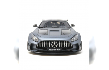 Mercedes-AMG GT Black Series (magno grey)