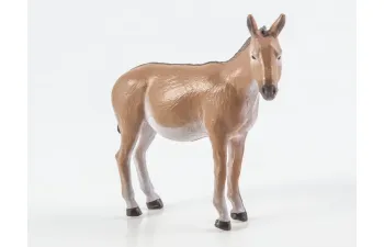 Дикие животные России № 25: Кулан