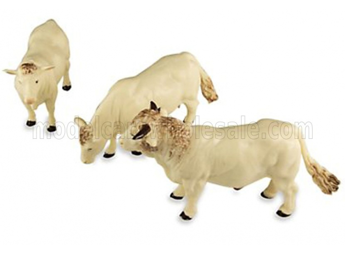 ACCESSORIES Cattle - Bovini, White