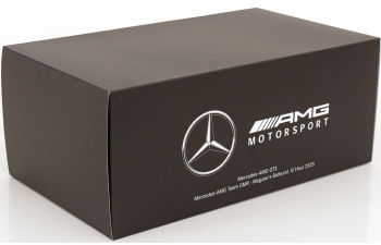 MERCEDES-BENZ AMG GT3 EVO No 888 12h Bathurst, Engel/Grenier/Martin (2025)