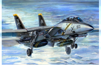 Сборная модель Американский истребитель F-14B SUPER TOMCAT