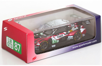 LEXUS RC F LMGT3 No 87 24h Le Mans, Umbrarescu / Lopez / Schmid (2025)