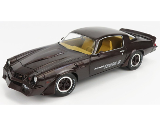 CHEVROLET Camaro Z/28 Yenko Turbo Z Coupe (1981), Brown Met