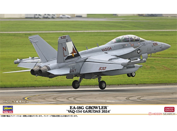 Сборная модель EA-18G Growler VAQ-134 Garudas 2024