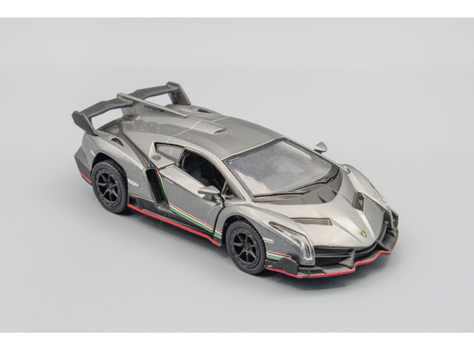 LAMBORGHINI Veneno, Gray