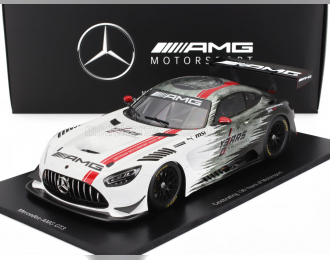 MERCEDES BENZ Amg Gt3 130th Anniversary Motorsport №130 Racing (2024), White Grey