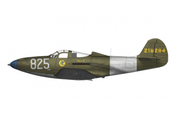 Сборная модель P-39 Airacobra RECON
