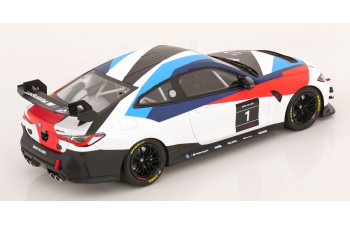 BMW M4 GT4 Presentation (2022), BMW Motorsport