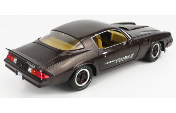 CHEVROLET Camaro Z/28 Yenko Turbo Z Coupe (1981), Brown Met