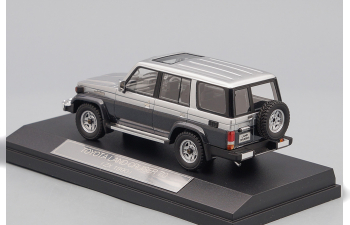 TOYOTA Land Cruiser 70 5-dr (1990), silver / blue