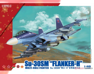 Сборная модель Su-30SM "Flanker-H"