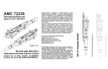 Набор для доработки Советская / российская противокорабельная ракета Х-31А с пилоном АКУ-58-1