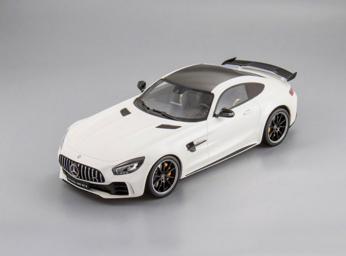 Mercedes-AMG GT-R (white)