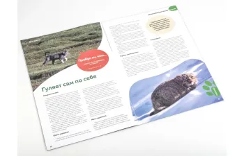 Дикие животные России № 24: Манул