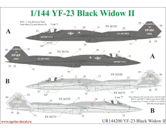 Декаль для YF-23 Black Widow II