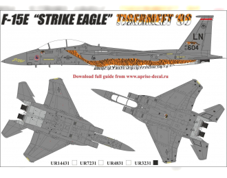 Декаль для F-15E Strike Eagle Tigermeet'98, с тех. надписями, FFA (удаляемая лаковая подложка)