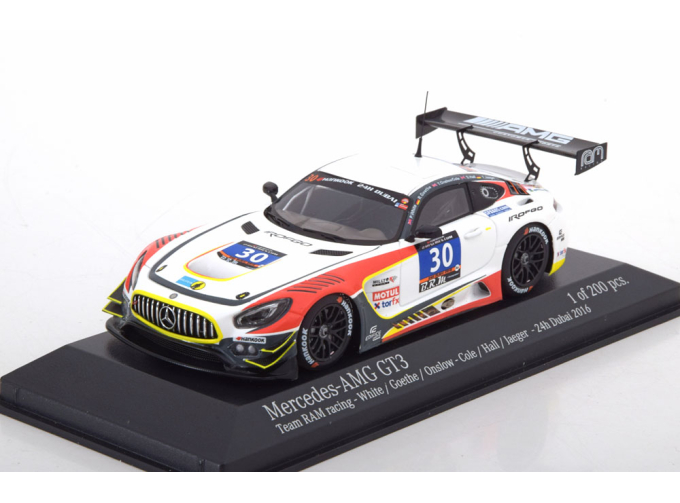Mercedes AMG GT3 White / Jajer / Onslow-Cole / Hall 24h Dubai 2016
