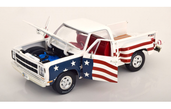 DODGE D150 Adventurer Stars Stripes (1980)