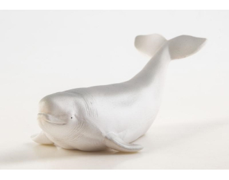 Дикие животные России № 33: Белуха (только вложение)