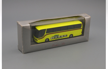 SETRA S 315 HDH, lemon