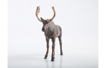 Дикие животные России № 11: Лось (только вложение)