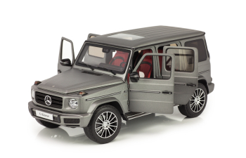 MERCEDES-BENZ W463 G-Klasse W463 II (2018), designo platinum magno