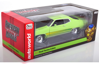 FORD Torino Cobra (1971), light green matt-black