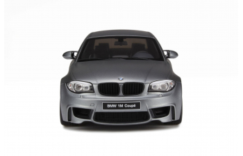 BMW 1M Coupé (E82) серый матовый