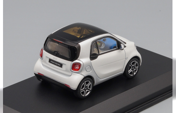 SMART ForTwo Coupe С453 (2014), cool silver / moon white mat