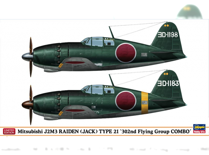 Сборная модель Mitsubishi J2M3 Raiden (JACK) TYPE 21 '302ND Flying Group Combo' (две модели в коробке)