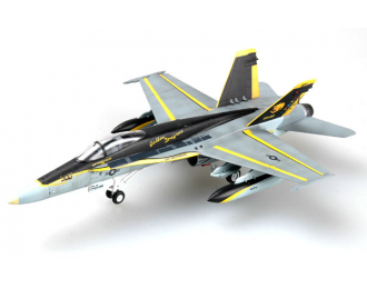 McDonnell Douglas F/A-18C Hornet USN VFA-192 Golden Dragons NF300