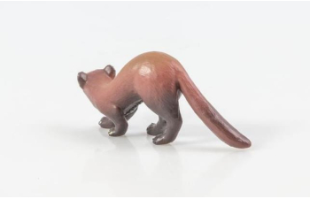 Дикие животные России № 20: Куница