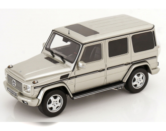 MERCEDES-BENZ G55 AMG (2003), silver