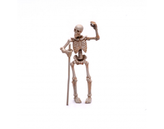 Скелеты, размер S, 2шт