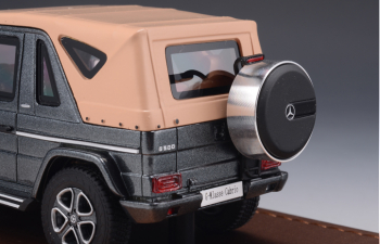 MERCEDES-BENZ G500 Cabriolet Final Edition (W463) (закрытый) 2014