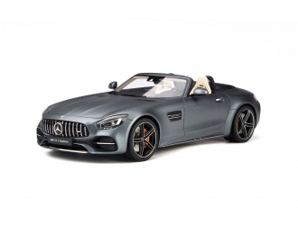 Mercedes-AMG GT C 2017 (grey)