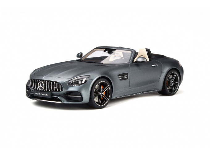 Mercedes-AMG GT C 2017 (grey)