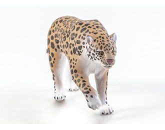 Дикие животные России № 27: Дальневосточный леопард (только вложение)