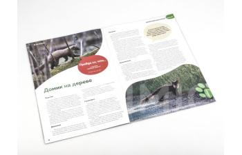 Дикие животные России № 20: Куница